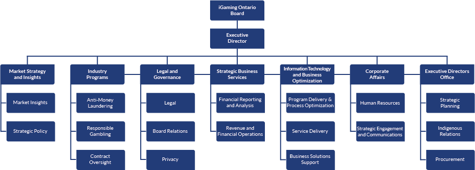 iGO Organizational Structure